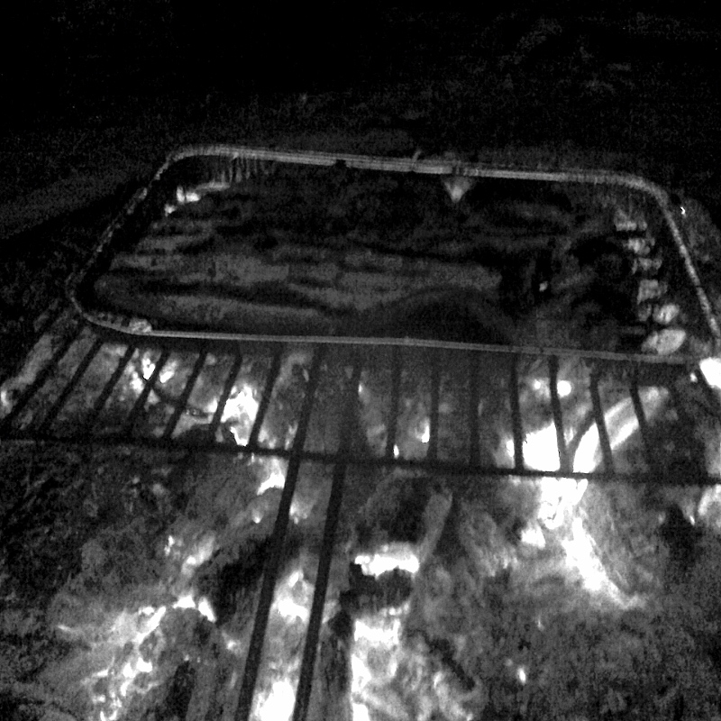 365/62 -- Grillparty