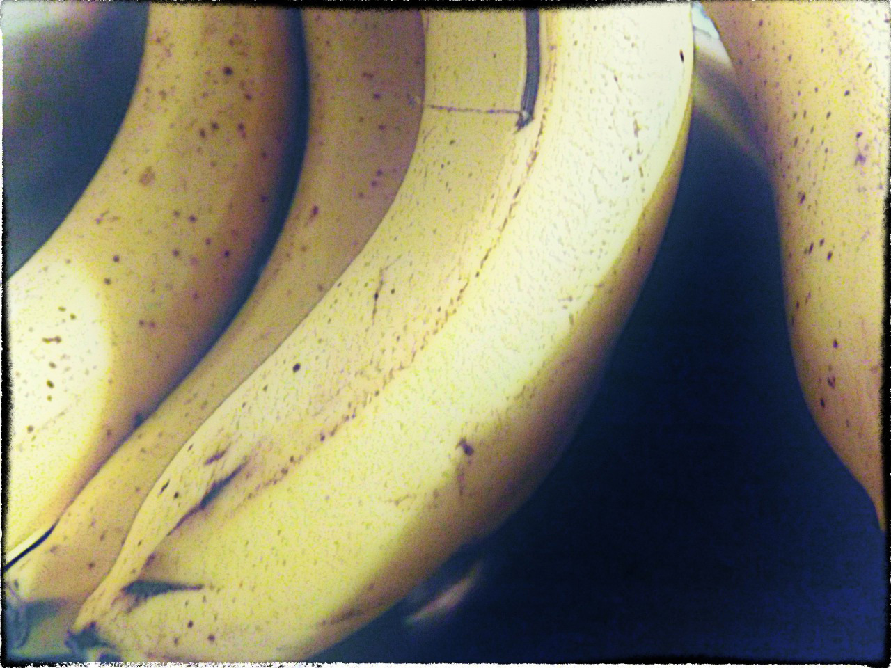 46/365 Banán Éj (Freudi álom)
