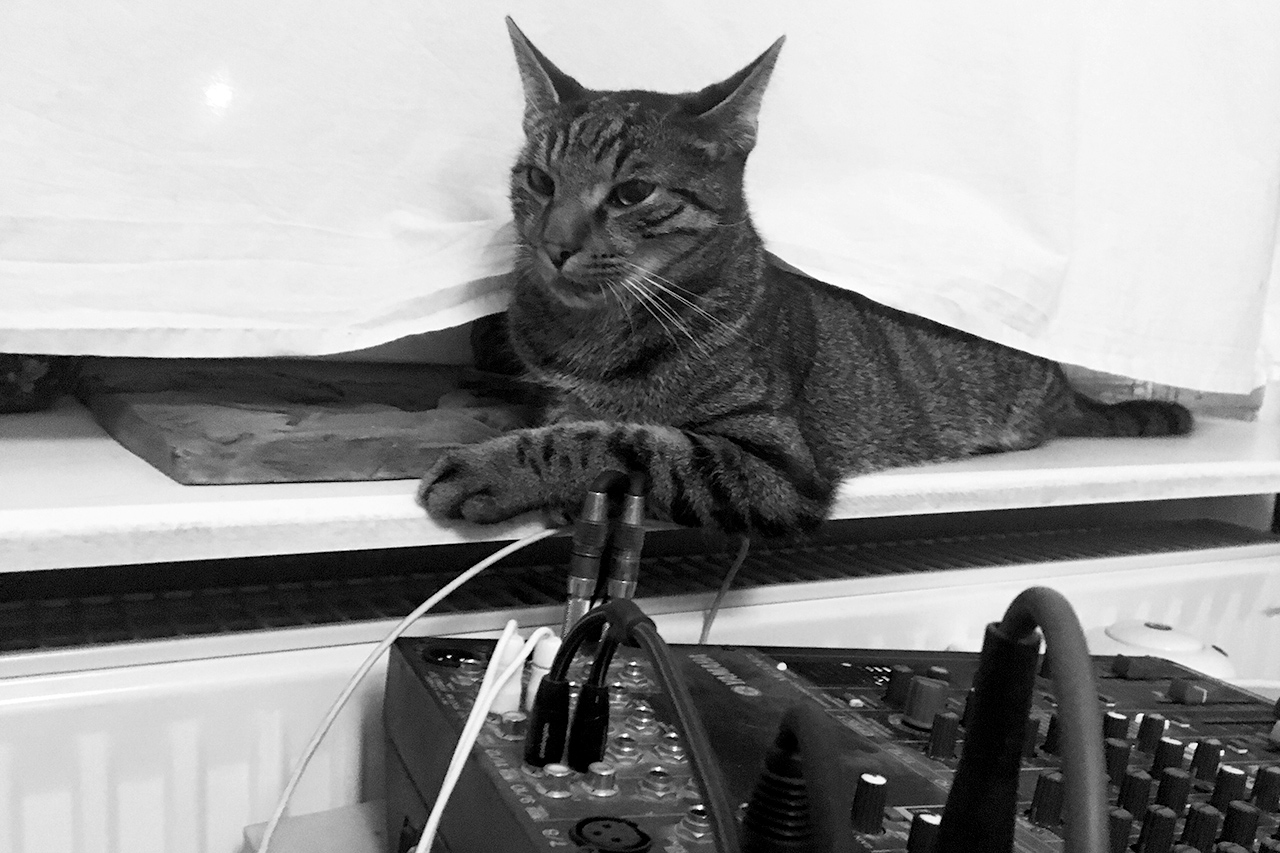 365/185 - Dezső, a rádiós macska