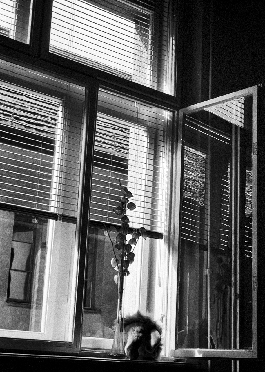A Batthyány utcai lakás ablaka, 1994