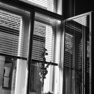A Batthyány utcai lakás ablaka, 1994