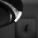 365/16 - Midnight Lady