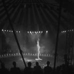 365/67 -- Cirkusz