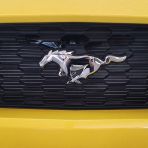 Putto 365/111 - Mustang