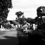 365/79 - Délután a temetőben